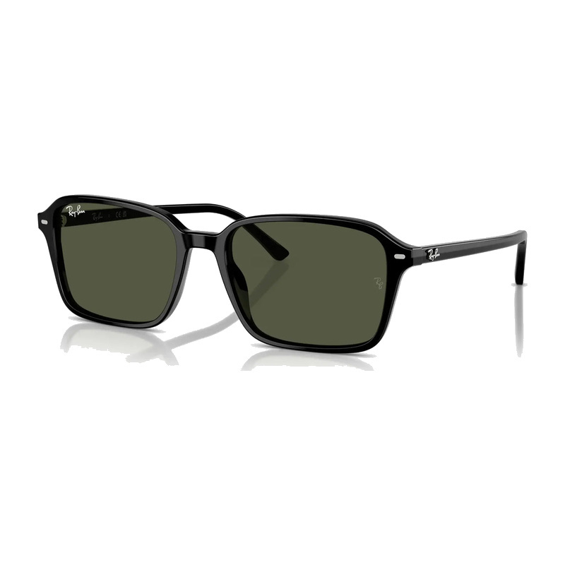 Ray-Ban RB2231 Sunglasses