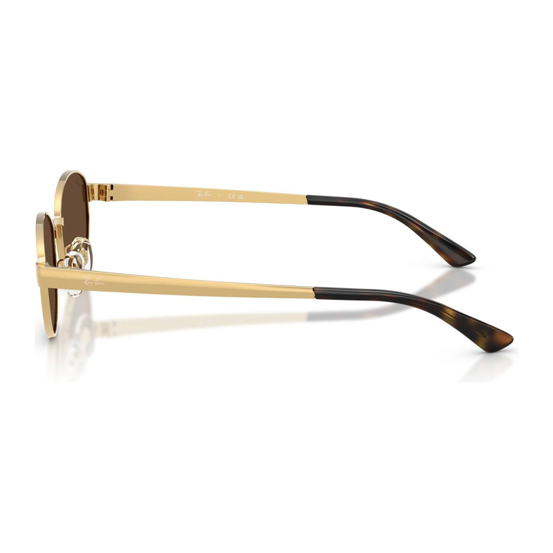 Ray-Ban RB3774D Sunglasses