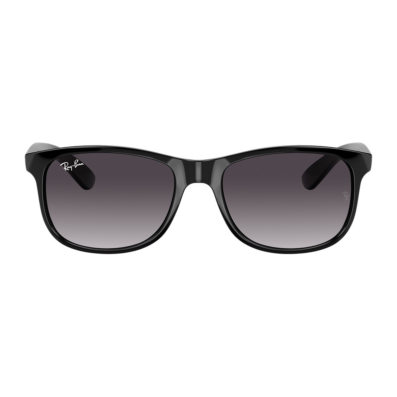 Ray-Ban RB4202 Sunglasses
