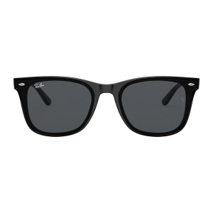 Ray-Ban RB4391D Sunglasses