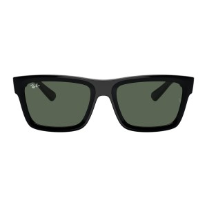 Ray-Ban RB4396F Sunglasses