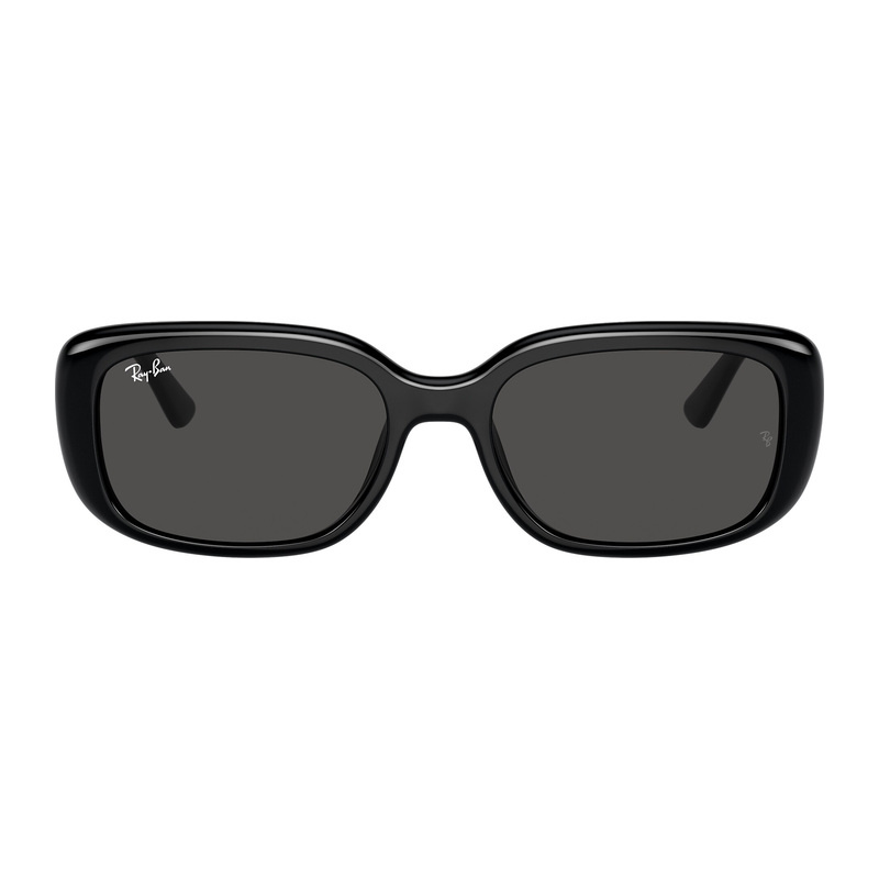 Ray-Ban RB4421D Sunglasses
