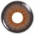 Arabia Eye