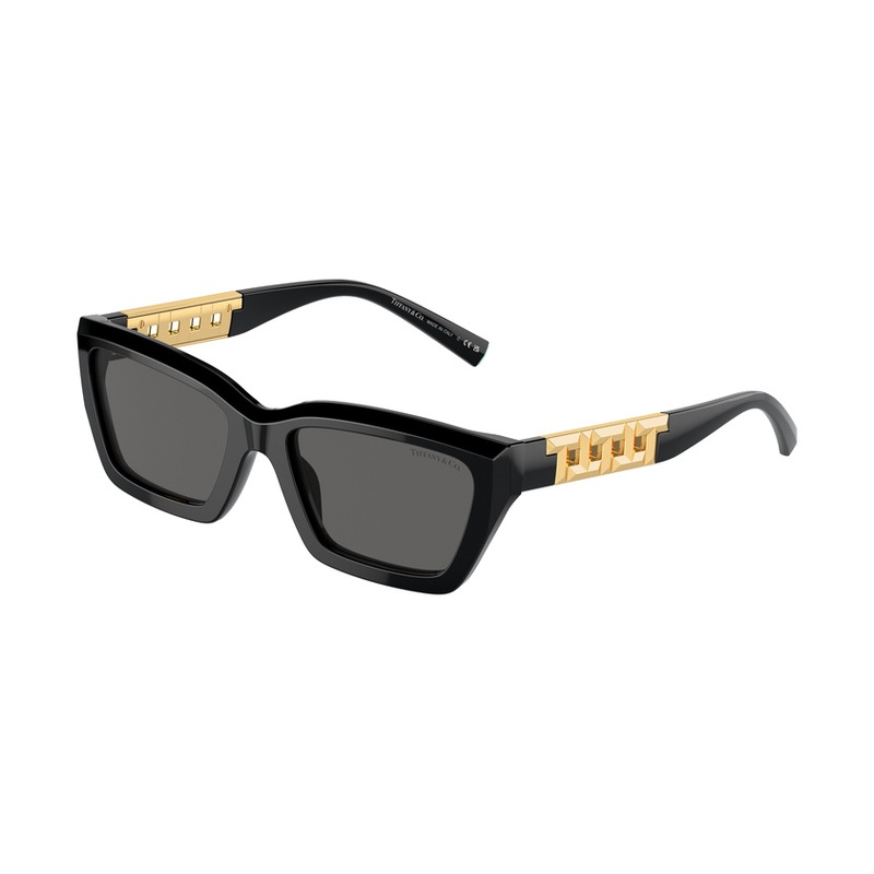 Tiffany & Co. TF4213 Sunglasses