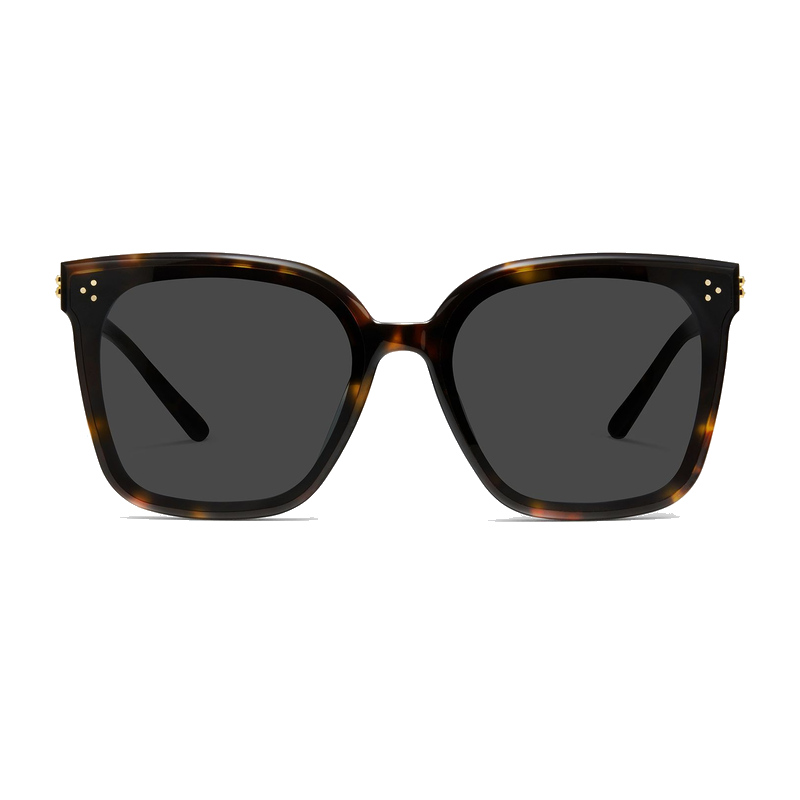 Gentle Monster New Her Square Sunglasses