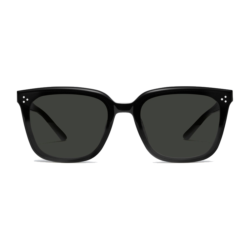 Gentle Monster Gent Square Sunglasses
