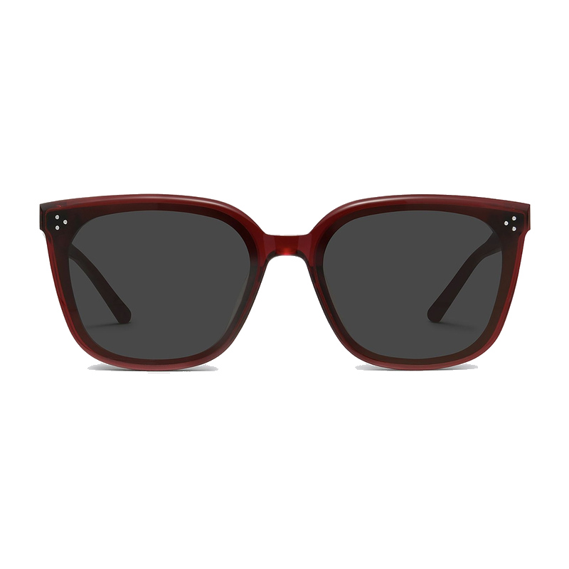Gentle Monster Loloe Square Sunglasses